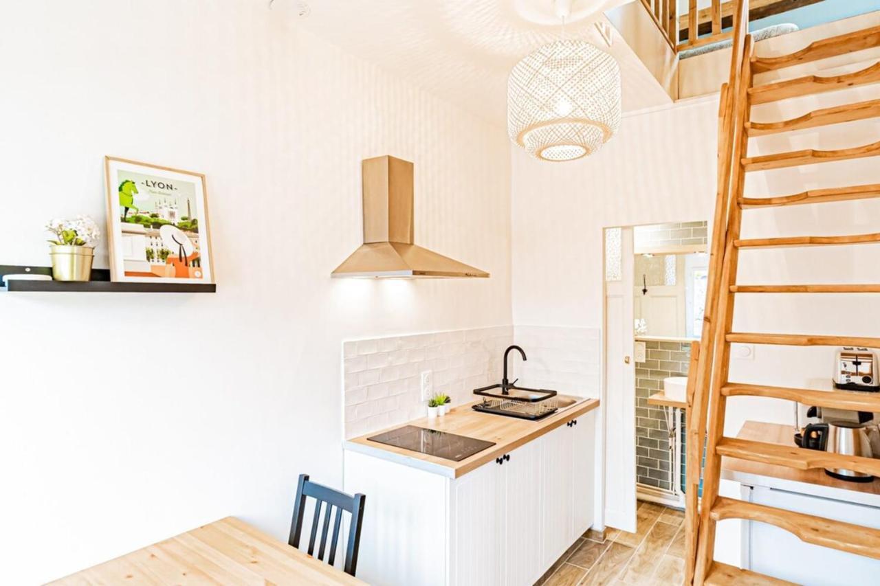 Duplex Poizat - Joli Appartement - Villeurbanne Eksteriør bilde